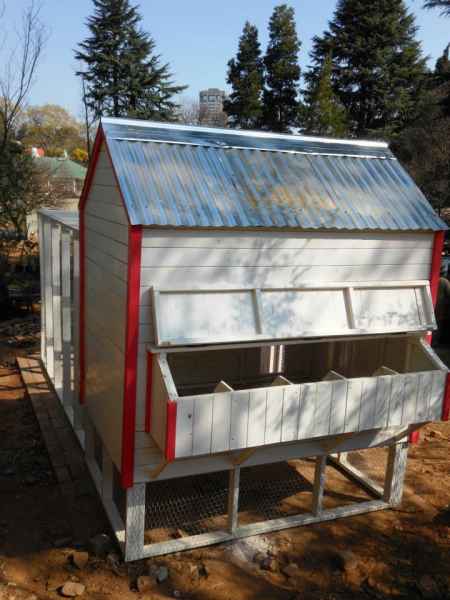 1-15 BCW Play Structures - Pets
