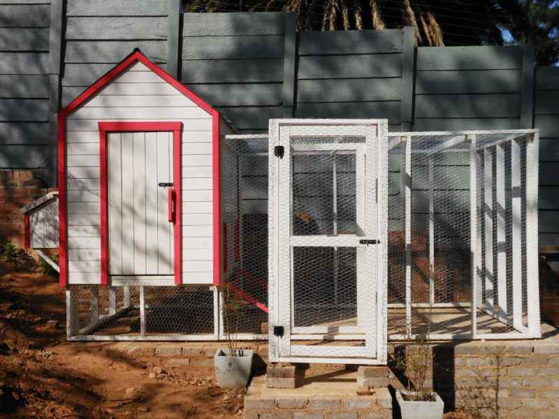 3-15 BCW Play Structures - Pets