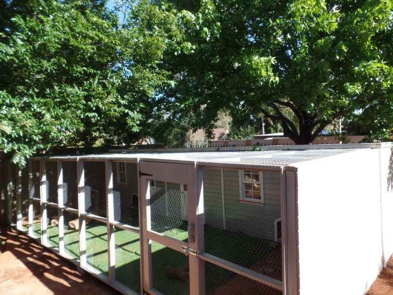 bcw-cattery-2--2 BCW Play Structures - Pets