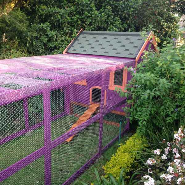 chicken-coop-4 BCW Play Structures - Pets