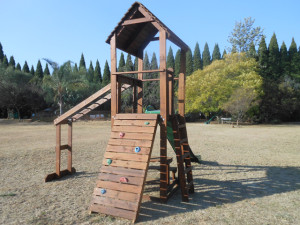 Accessories Climbing Wall With 6 Grips