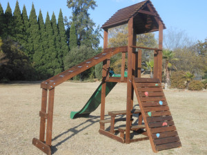 Accessories Escalated Monkey Bars